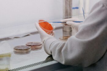 Laboratory of the Faculty of Health and Social Work of the Trnava University